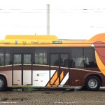 ônibus a hidrogênio com pintura de Sabiá-Laranjeira, com seus tons de marrom,